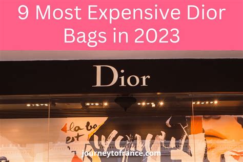 shopping bag dior|most expensive dior bag.